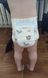 Підгузники Babylove Німеччина 5 (10-16кг) 36шт 1719009075 фото 4