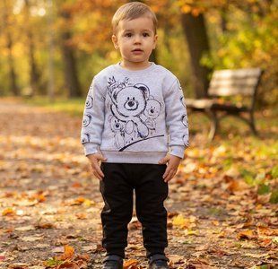 Теплий дитячий костюм тринитка на флісі Feely Kids "Bear" 9-12 місяців (80 см), сірий 2100000524952 фото