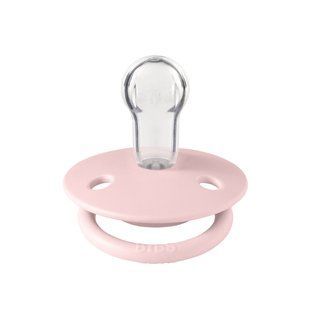 Пустушка BIBS De Lux Silicone Round (кругла) &ndash; Blossom 0-36 міс. 5713795215324 фото
